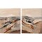 Distant Forest by Silvia Vassileva 12" x 15" Canvas Wall Art (Set of 2)
